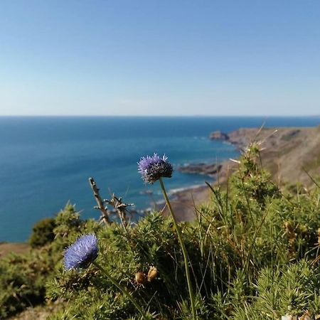 Kiberick Cottage At Crackington Haven, Near Bude And Boscastle, Cornwall エクステリア 写真