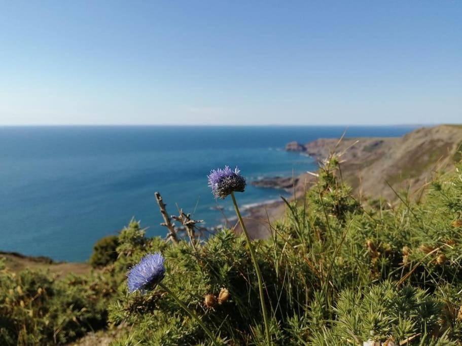 Kiberick Cottage At Crackington Haven, Near Bude And Boscastle, Cornwall エクステリア 写真